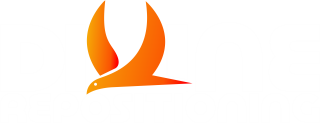 light logo